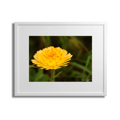 Cadre blanc-Passe-partout Blanc H R6OL8352 40x50