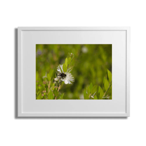 Cadre blanc-Passe-partout Blanc H R6OL5959 40x50