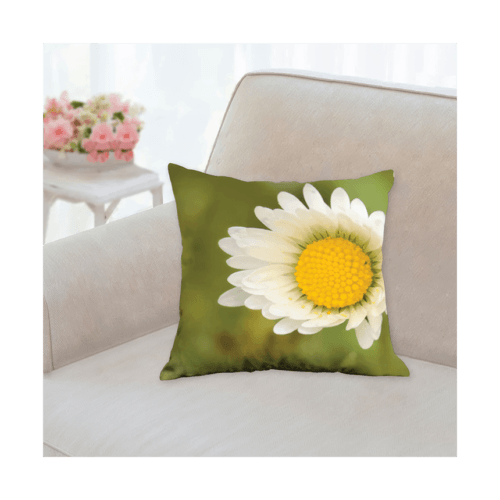 R6OL8203-Coussin 35,6x35,6 R°-Edited R6OL8203-Coussin 35,6x35,6 R°-Edited