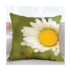 R6OL8203-Coussin 66x66 R°-Edited