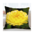 R6OL8352-Coussin 66x66 R°-Edited