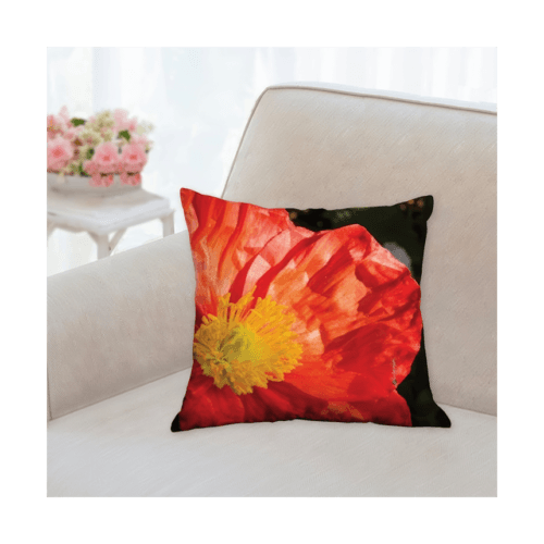 R6OL8500-Coussin 35,6x35,6 R°-Edited R6OL8500-Coussin 35,6x35,6 R°-Edited
