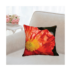 R6OL8500-Coussin 35,6x35,6 R°-Edited