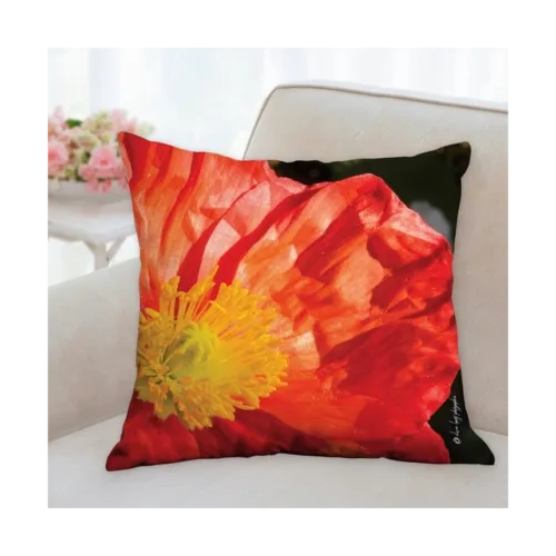 R6OL8500-Coussin 45,7x45,7 R°-Edited