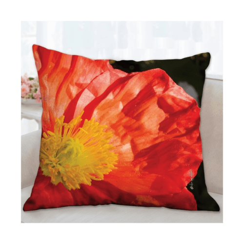 R6OL8500-Coussin 66x66 R°-Edited R6OL8500-Coussin 66x66 R°-Edited