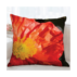 R6OL8500-Coussin 66x66 R°-Edited