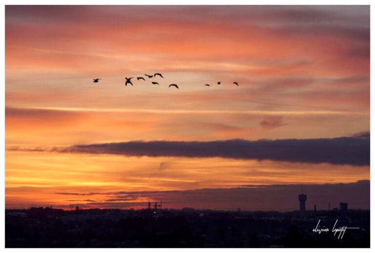 Déco nature : une ambiance apaisante