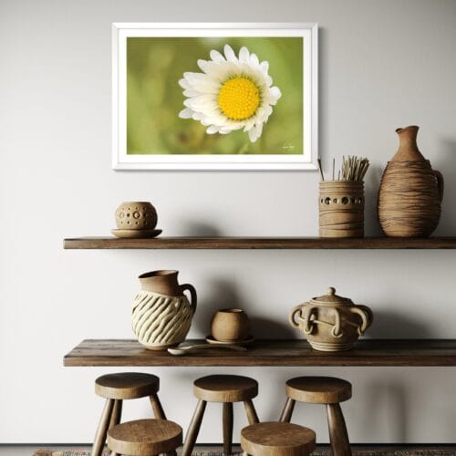 Smartist-Paquerette 3 Smartist-Paquerette 3