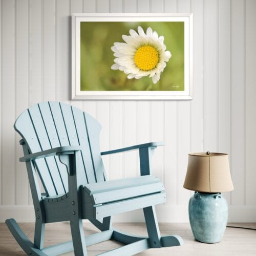 Smartist-Paquerette 4 Smartist-Paquerette 4