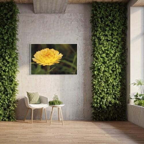 Smartist-Souci Jaune H 2 Smartist-Souci Jaune H 2