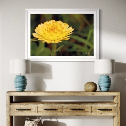 Smartist-Souci Jaune H 4 Smartist-Souci Jaune H 4