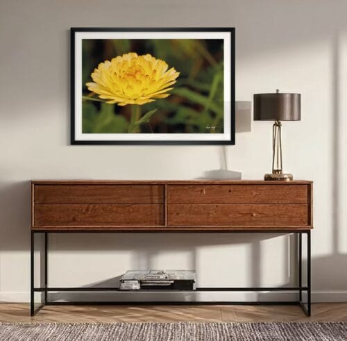 Smartist-Souci Jaune H 5 Smartist-Souci Jaune H 5