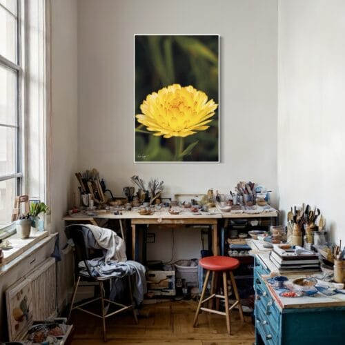 Smartist-Souci Jaune V 1 Smartist-Souci Jaune V 1