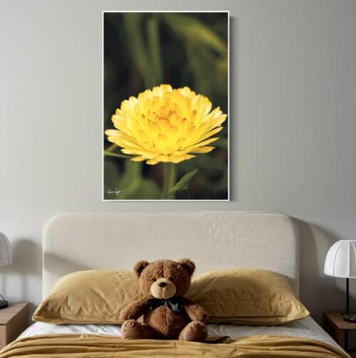 Smartist-Souci Jaune V 2 Smartist-Souci Jaune V 2