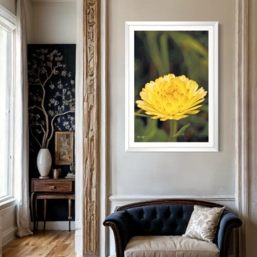 Smartist-Souci Jaune V 3 Smartist-Souci Jaune V 3