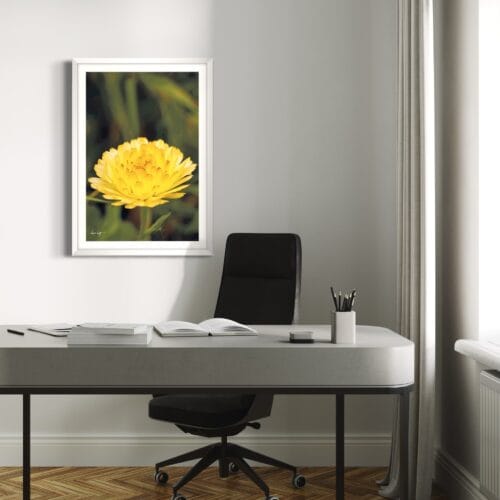 Smartist-Souci Jaune V 4 Smartist-Souci Jaune V 4