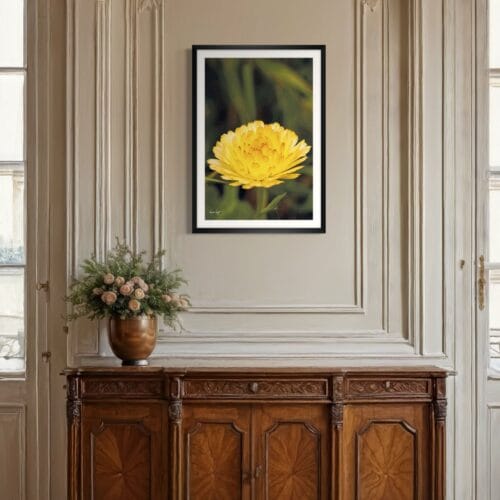 Smartist-Souci Jaune V 5 Smartist-Souci Jaune V 5