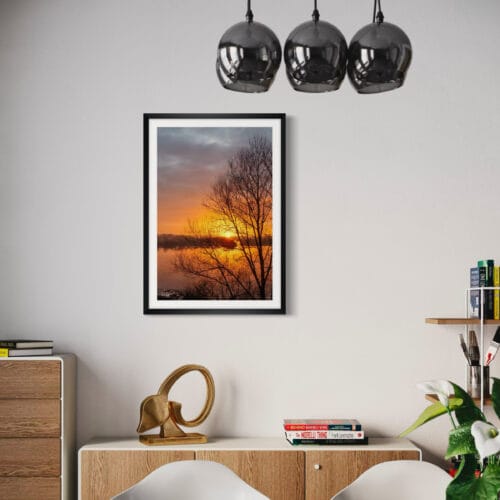 Smartist-Aurore 5 Smartist-Aurore 5