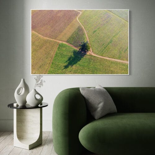 Smartist L'arbre dans les vignes 1 Smartist L'arbre dans les vignes 1