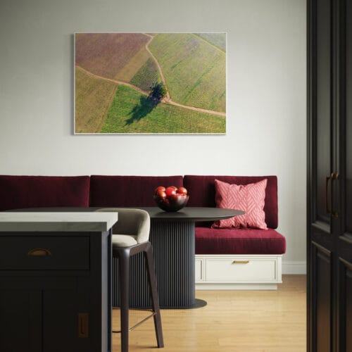 Smartist L'arbre dans les vignes 2 Smartist L'arbre dans les vignes 2