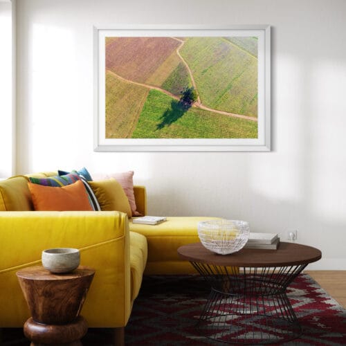 Smartist L'arbre dans les vignes 3 Smartist L'arbre dans les vignes 3