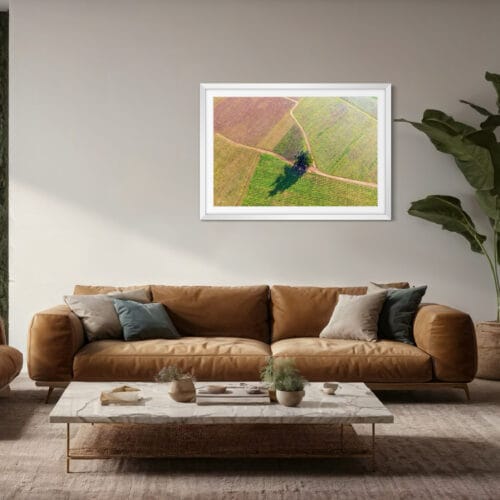 Smartist L'arbre dans les vignes 4 Smartist L'arbre dans les vignes 4