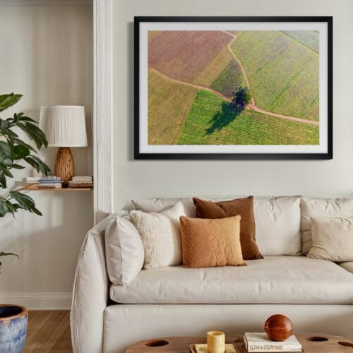 Smartist L'arbre dans les vignes 6 Smartist L'arbre dans les vignes 6