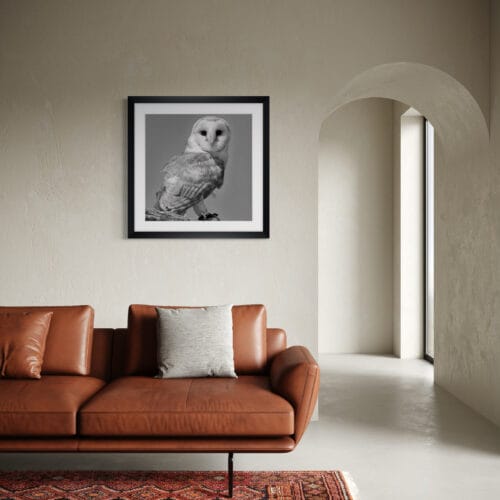 Smartist-Chouette 2 Smartist-Chouette 2