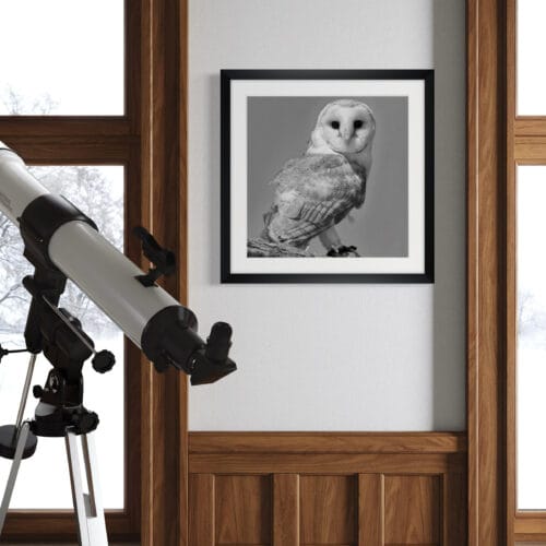 Smartist-Chouette 4 Smartist-Chouette 4