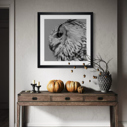 Smartist-Hiboux 1 Smartist-Hiboux 1