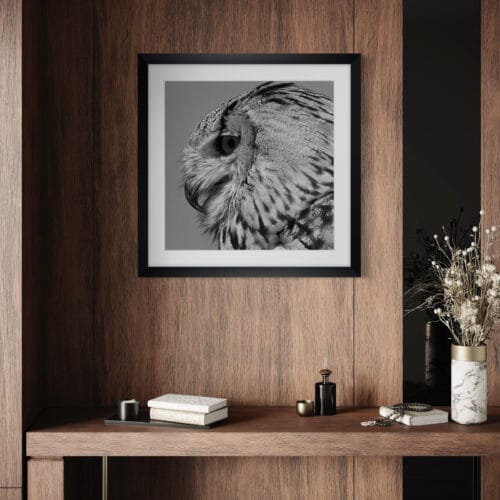 Smartist-Hiboux 3 Smartist-Hiboux 3