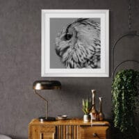 Le Gardien Silencieux