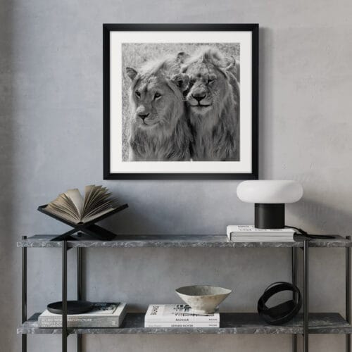 Smartist-Lion 3 Smartist-Lion 3