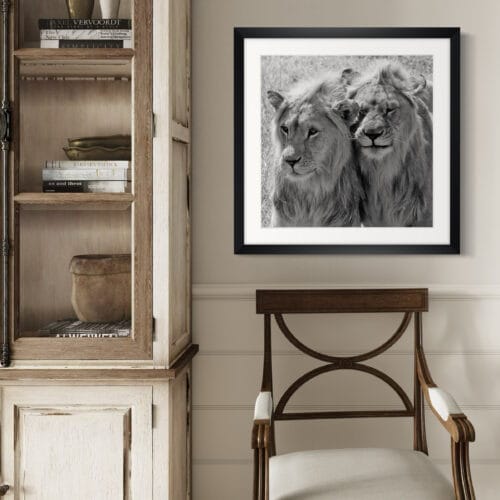 Smartist-Lion 4 Smartist-Lion 4