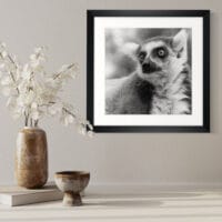 Regard de Madagascar