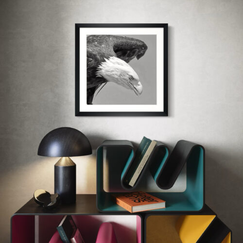 Smartist-Pygargue 4 Smartist-Pygargue 4