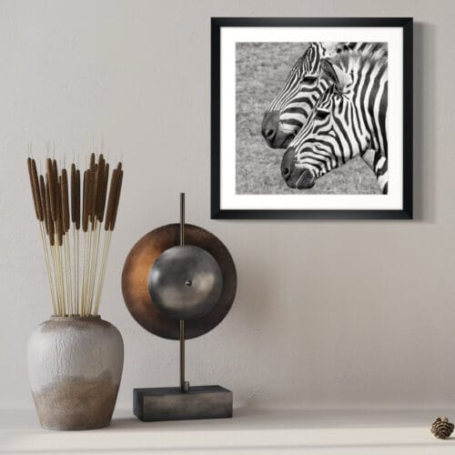 Smartist-Zebre 1 Smartist-Zebre 1