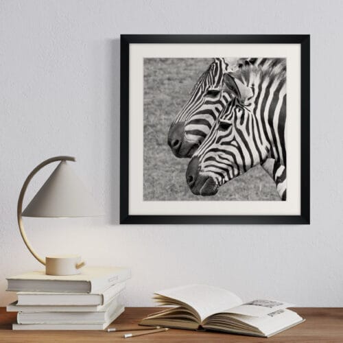 Smartist-Zebre 2