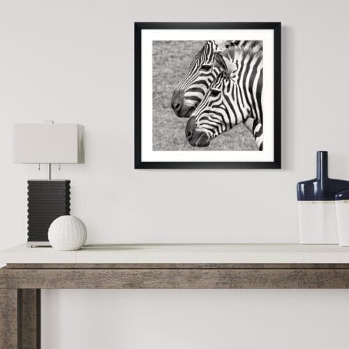 Smartist-Zebre 3 Smartist-Zebre 3